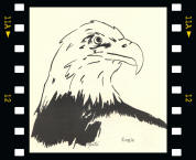 Teabo sketch: Eagle